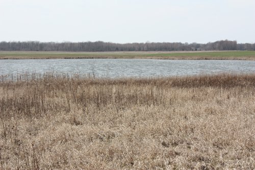 Property photo 7 - 194.67 Acres Offered in 2 Tracts